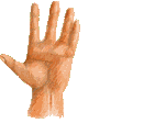 Icono mano indicando